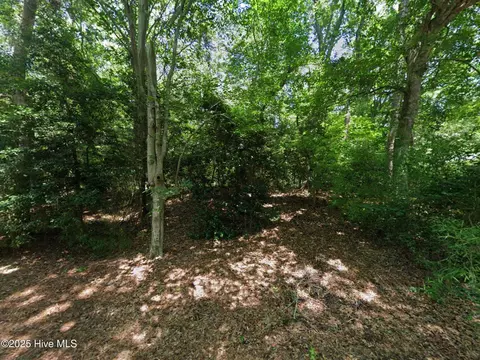 162 Beech Tree Trl, Southern Shores, NC 27949