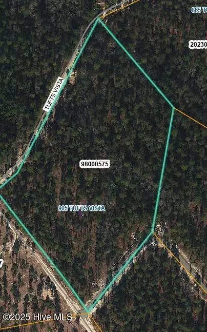 905 865 Tufts Vis, Jackson Springs, NC 27281