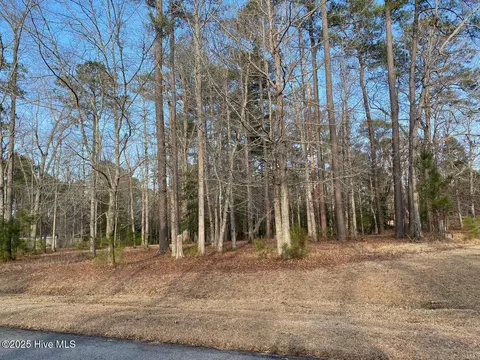 28 Island Dr, Chocowinity, NC 27817 photo 3