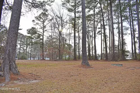 157 Corrolla Loop Rd, Oriental, NC 28571 photo 3