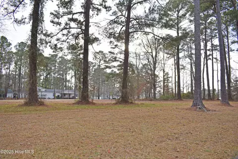 157 Corrolla Loop Rd, Oriental, NC 28571 photo 4
