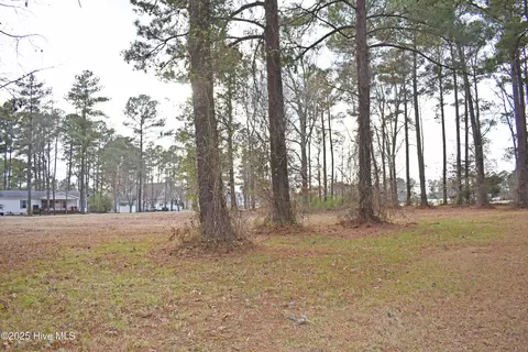 157 Corrolla Loop Rd, Oriental, NC 28571 photo 5
