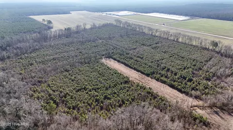 Off Sr 1951, Blounts Creek, NC 27814