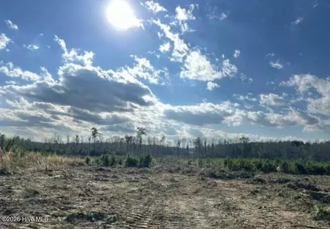 lot13 Good Shepherd Trl, Spring Hope, NC 27882