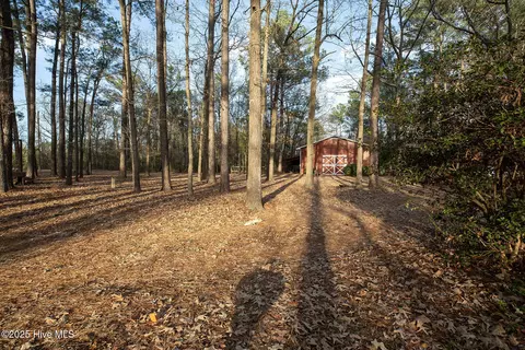 4424 Tuckahoe Rd, Ivanhoe, NC 28447 photo 67