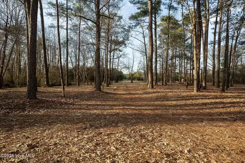 4424 Tuckahoe Rd, Ivanhoe, NC 28447 photo 66