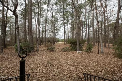 4424 Tuckahoe Rd, Ivanhoe, NC 28447 photo 63