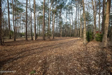 4424 Tuckahoe Rd, Ivanhoe, NC 28447 photo 65