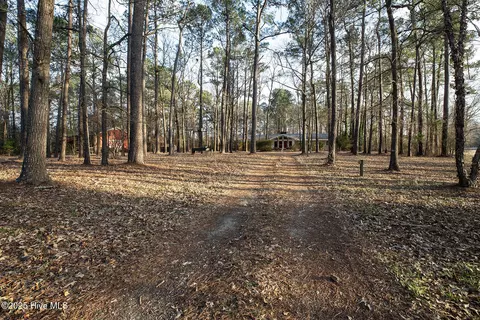 4424 Tuckahoe Rd, Ivanhoe, NC 28447 photo 8