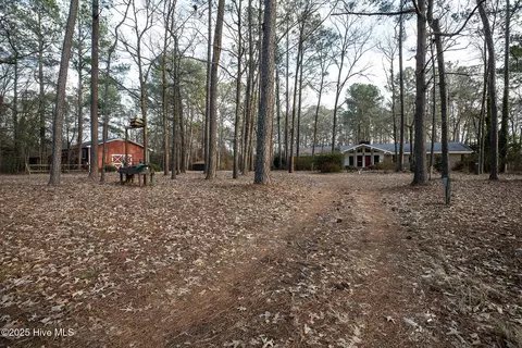 4424 Tuckahoe Rd, Ivanhoe, NC 28447 photo 7