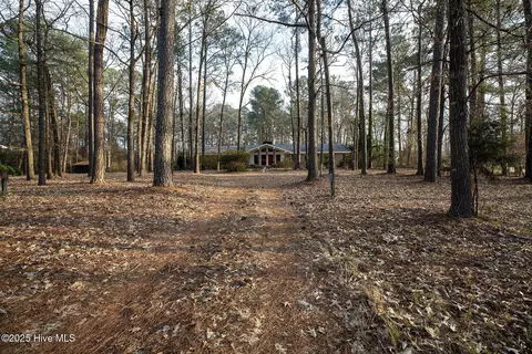 4424 Tuckahoe Rd, Ivanhoe, NC 28447 photo 6