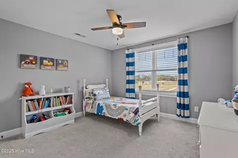 660 Mills Rd, Mount Olive, NC 28365 photo 28