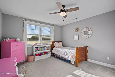 660 Mills Rd, Mount Olive, NC 28365 photo 27