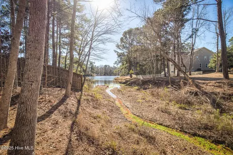 View/Area - 116 Bunchberry Ct, Hampstead, NC 28443 photo 2 of 2