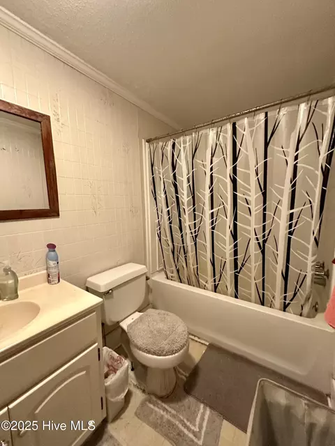315 Hickory Fork Rd, Edenton, NC 27932 photo 15