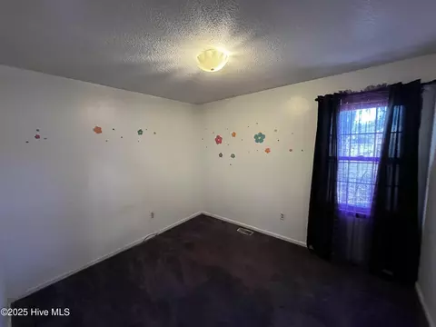 833 Ward St, Smithfield, NC 27577 photo 13