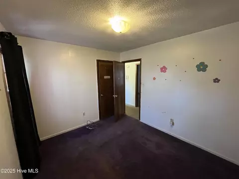 833 Ward St, Smithfield, NC 27577 photo 14