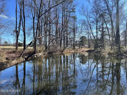 7274 Perry Rd, Bailey, NC 27807 photo 40