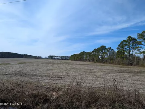 522 Plum Nearly Ln, Trenton, NC 28585