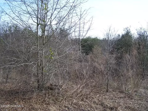tbd Bennett Rd, Ellerbe, NC 28338