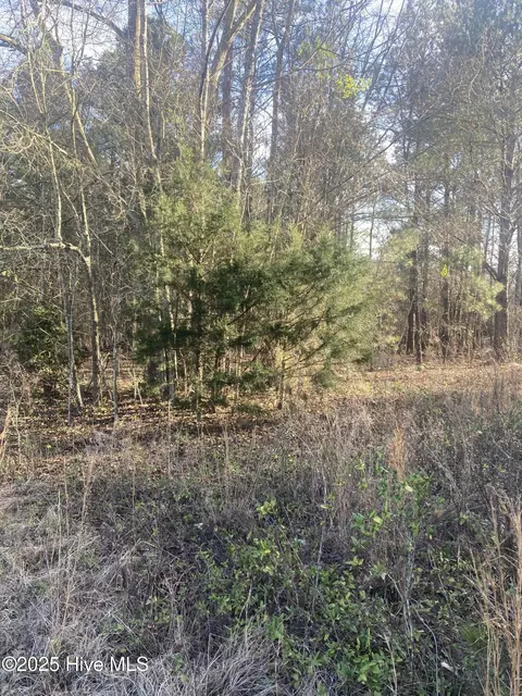 tbd Camp Monroe Rd, Laurel Hill, NC 28351
