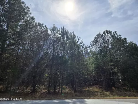 lot2 Momeyer Way, Momeyer, NC 27856