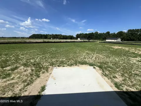 82 Asher Pointe Way, Benson, NC 27504 photo 20
