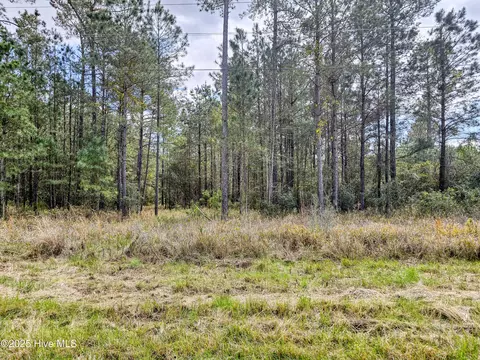 20 Sandy Point Rd, Scranton, NC 27875 photo 5