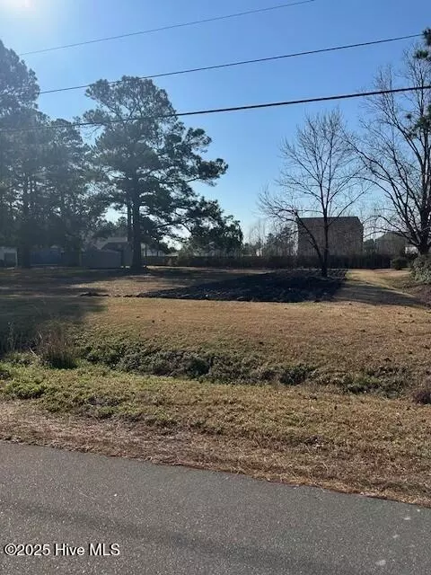 164 Horne Place Dr, Wilmington, NC 28401