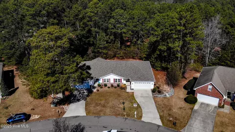 18 Foxtail Ln, Jackson Springs, NC 27281 photo 33