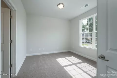 Other - 163 Cherry Laurel Dr, Wallace, NC 28466 photo 4 of 11