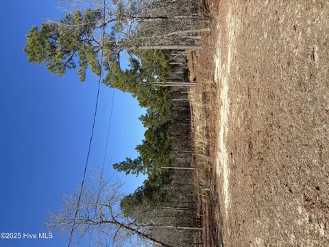 176 Lonnie Ln, Rockingham, NC 28379