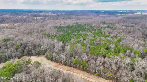 0 E Darden East Rd, Faison, NC 28341 photo 10