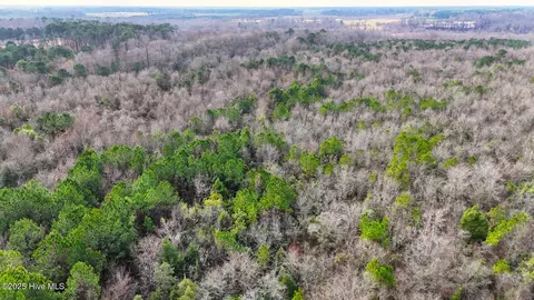 0 E Darden East Rd, Faison, NC 28341 photo 14