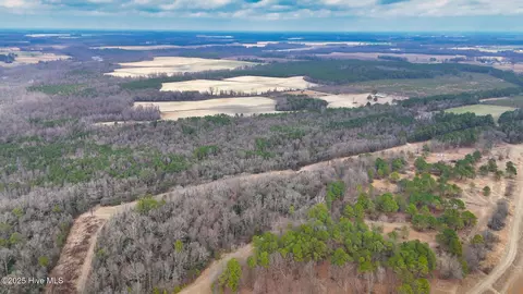 0 E Darden East Rd, Faison, NC 28341 photo 2