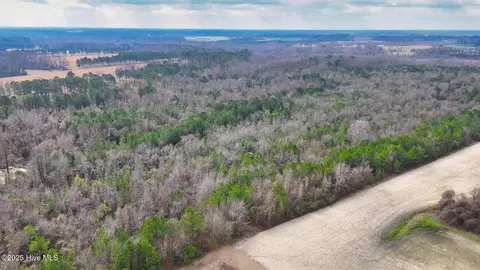 0 E Darden East Rd, Faison, NC 28341 photo 24