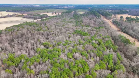 0 E Darden East Rd, Faison, NC 28341 photo 12