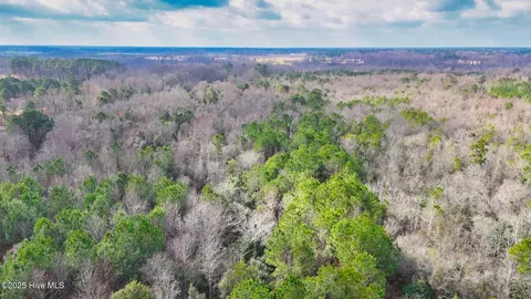 0 E Darden East Rd, Faison, NC 28341 photo 25
