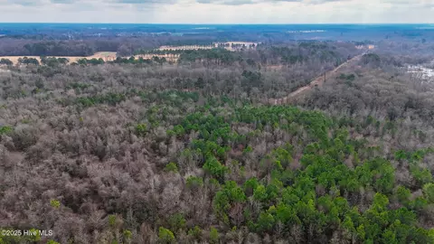 0 E Darden East Rd, Faison, NC 28341 photo 13