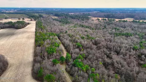 0 E Darden East Rd, Faison, NC 28341 photo 16
