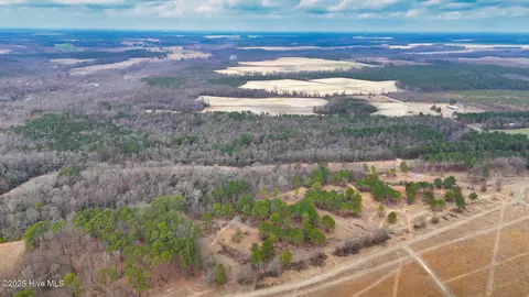 0 E Darden East Rd, Faison, NC 28341 photo 22
