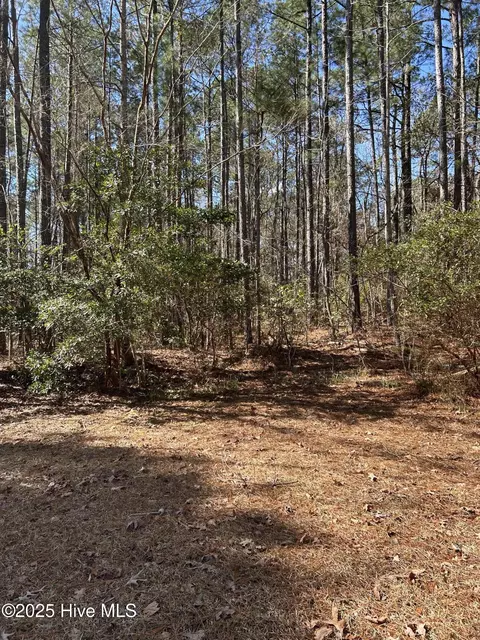 0 Belgrade Swansboro Rd, Stella, NC 28582