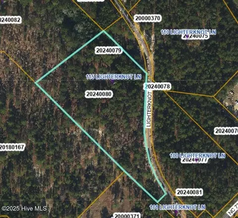 115 Lighterknot Ln, West End, NC 27376