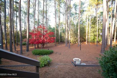 20 Pinewild Dr, Pinehurst, NC 28374 photo 50