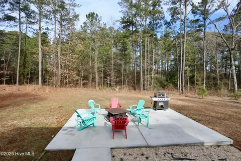 151 Grant Road Ext, Vass, NC 28394 photo 32