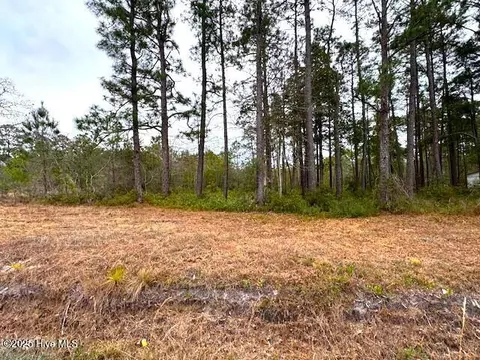 3109 Shell Point Rd SW, Shallotte, NC 28470 photo 2