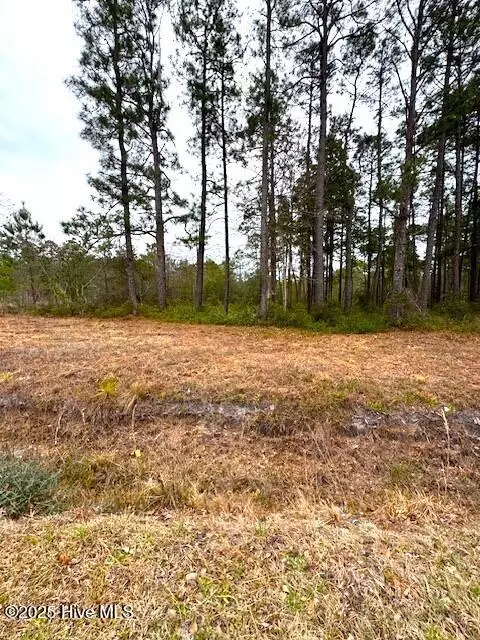 3109 Shell Point Rd SW, Shallotte, NC 28470 photo 3