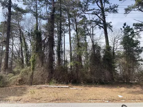 1908 Hardee Rd, Kinston, NC 28504 photo 2