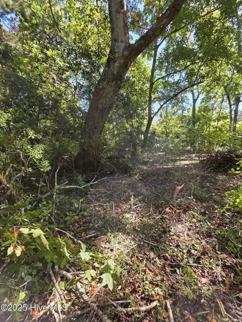 20 W High Bluff Dr, Hampstead, NC 28443