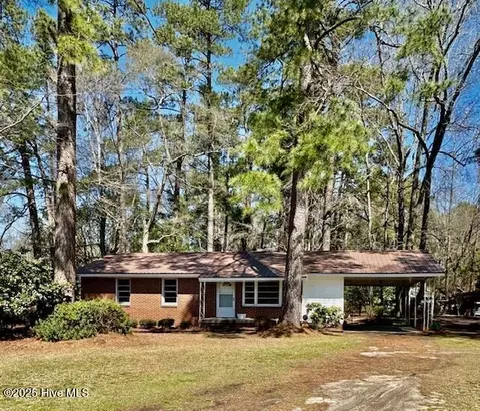 14346 Rough Ready Rd, Fair Bluff, NC 28439